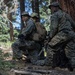 Marines with 1/7 conduct patrols at Big Bear recreational center in preparation for mountain warfare training