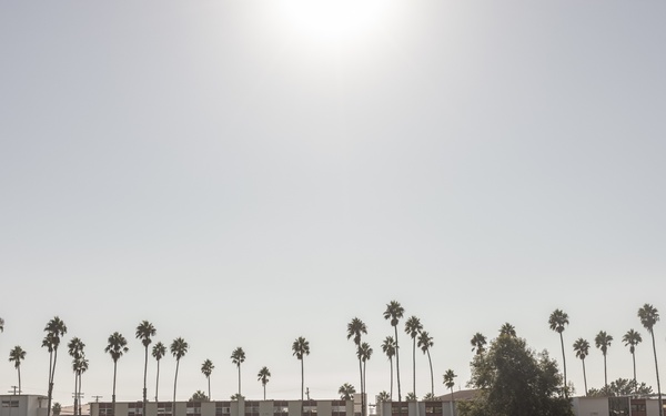 MRF-SEA Marines palletize gear for embarkation