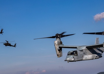 Japanese, American Aviation Exhibit Unprecedented Interoperability During Resolute Dragon 23 FTX
