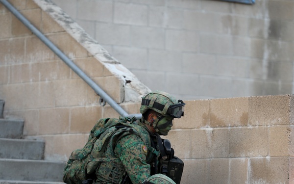 Valiant Mark 23: Final Exercise