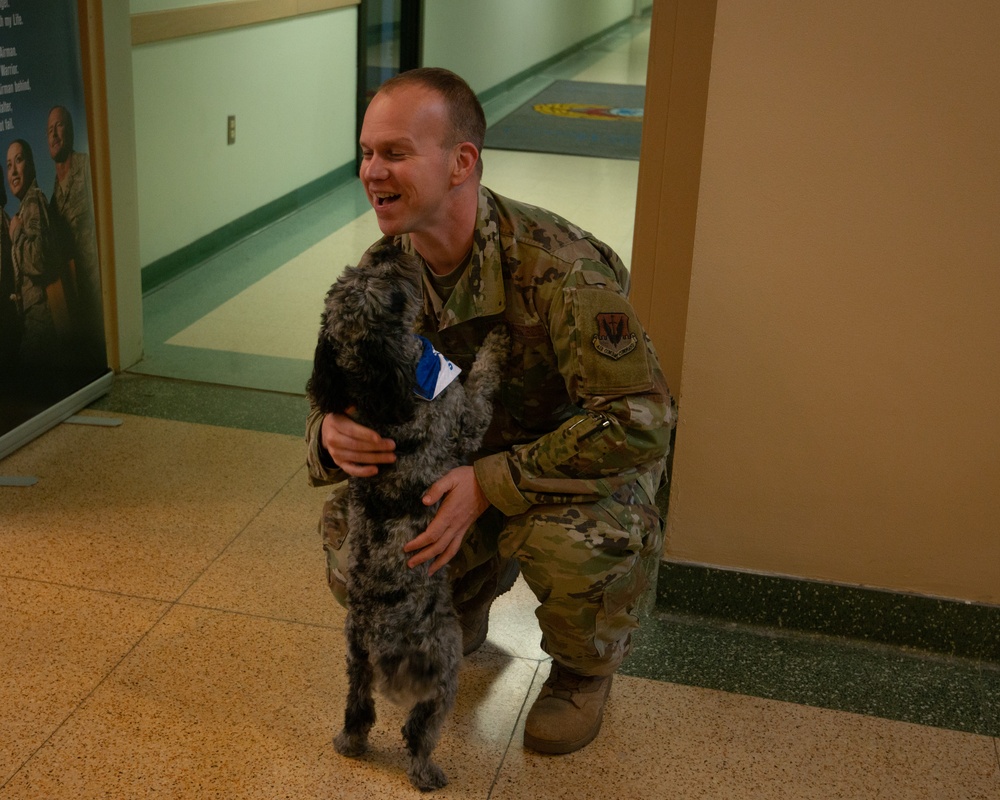 Shadow the therapy dog visits the 107th Attack Wing