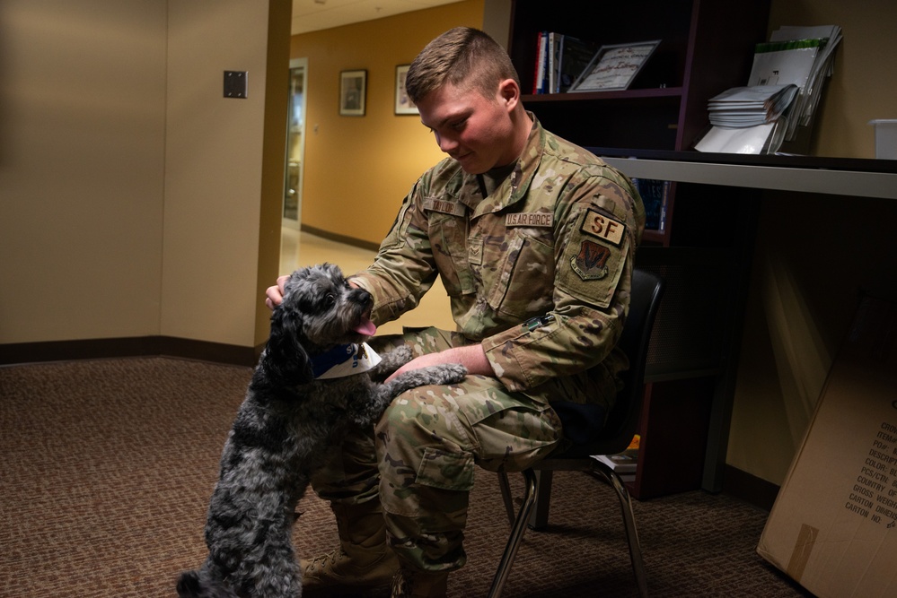 Shadow the therapy dog visits the 107th Attack Wing