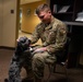 Shadow the therapy dog visits the 107th Attack Wing