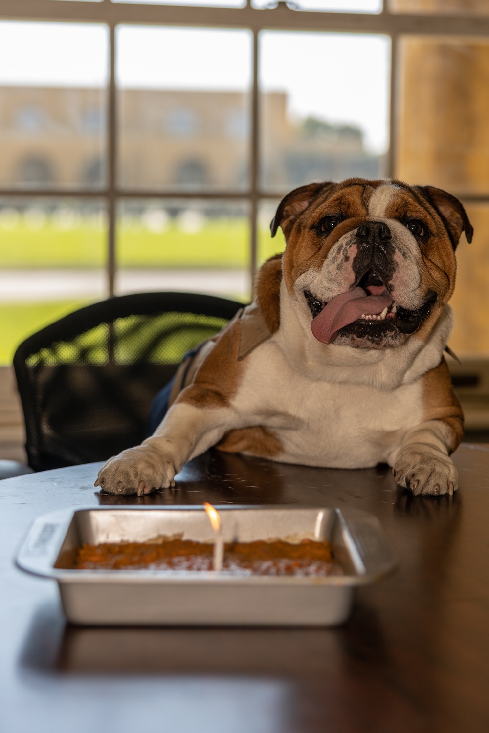 Pfc. Bruno's First Birthday