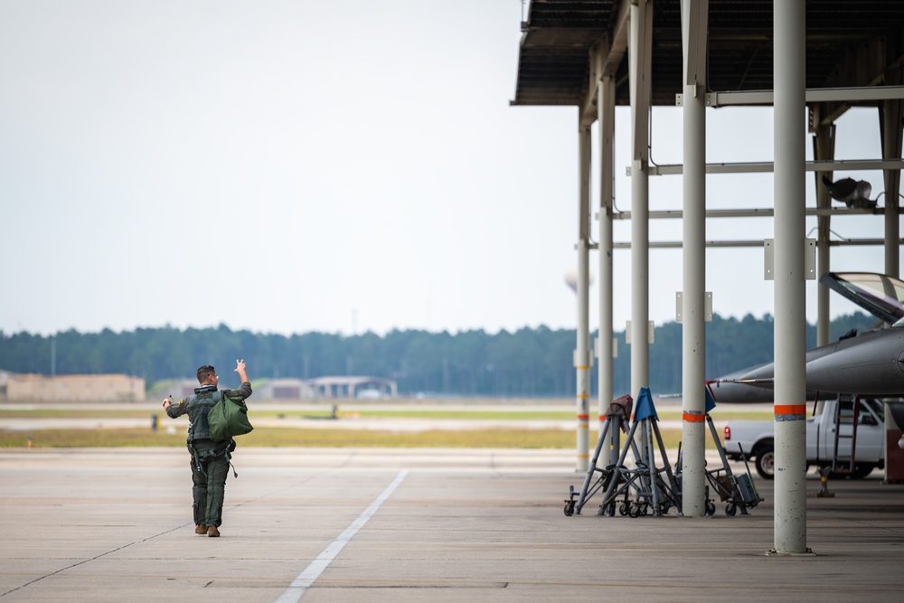 Tiger takeoff; 79th Fighter Squadron perform aerial training