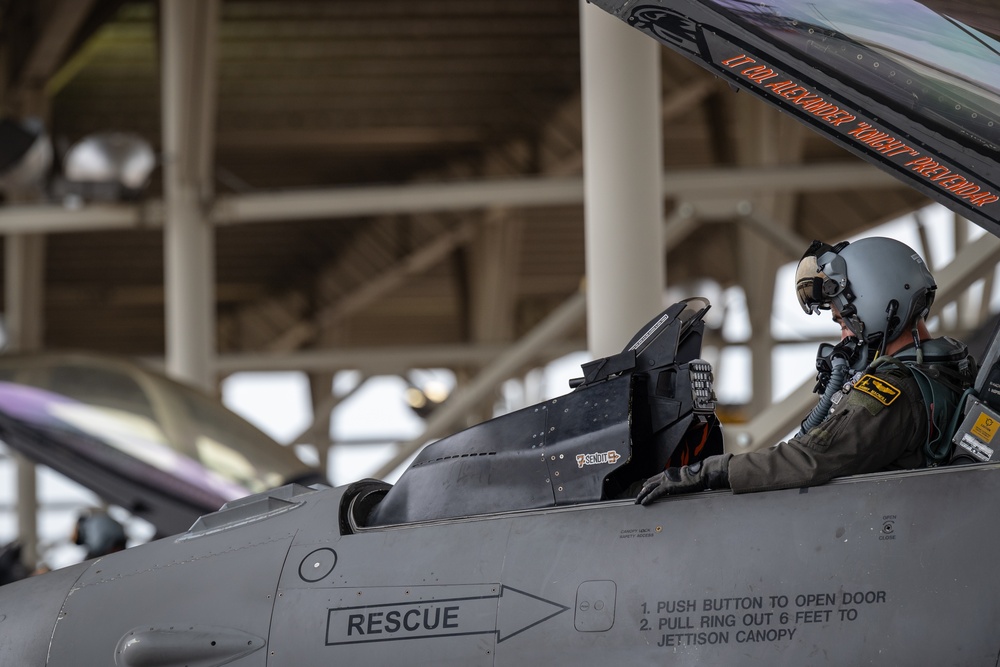 Tiger takeoff; 79th Fighter Squadron perform aerial training