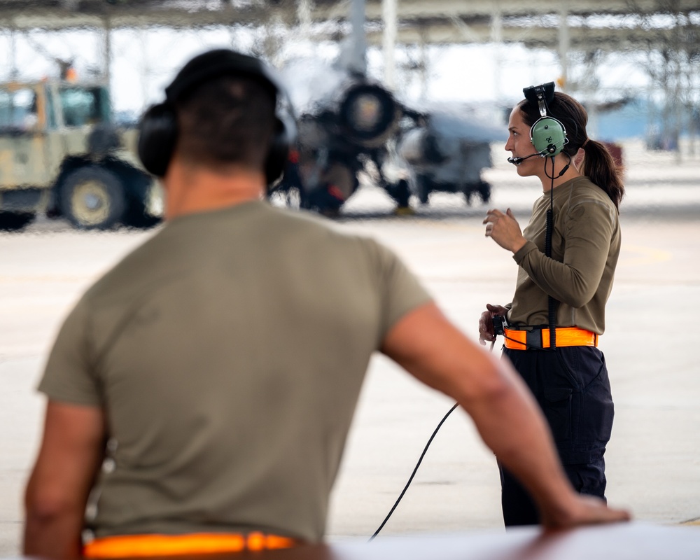 Tiger takeoff; 79th Fighter Squadron perform aerial training