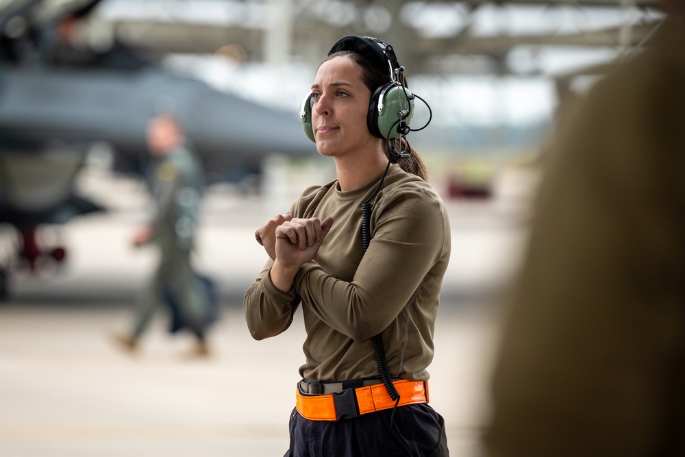 Tiger takeoff; 79th Fighter Squadron perform aerial training