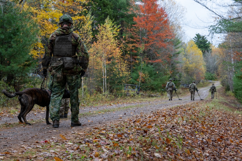 U.S. Army participates in multinational EOD exercise Ardent Defender