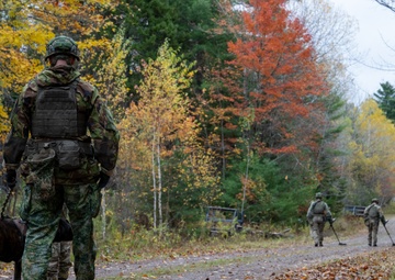 US Army EOD technicians train with allies during Exercise Ardent Defender in Canada
