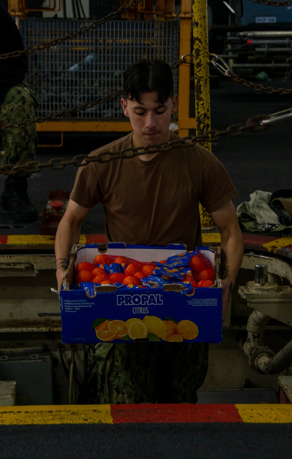 U.S. Navy Sailor Onloads Produce