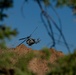 Marine helicopters participate in close air support