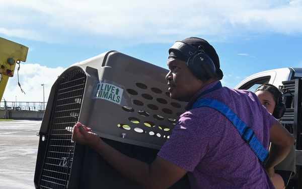 734th AMS striving to thrive