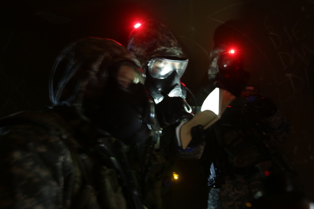 Tunnel Inspection