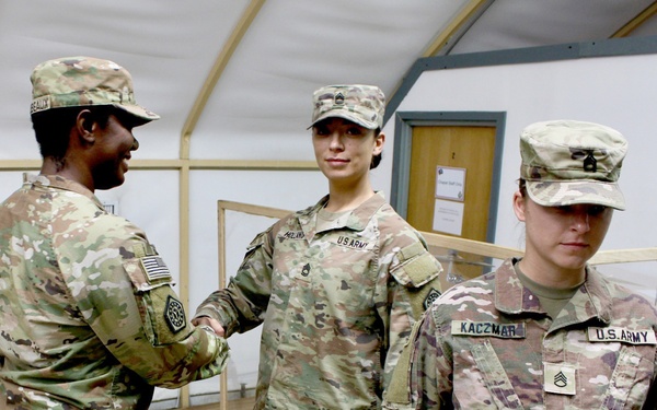 CHICAGO-BASED UNIT CONDUCTS OVERSEAS PATCHING CEREMONY