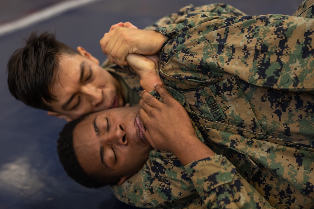 MCAS Beaufort H&amp;HS Grappling Tournament