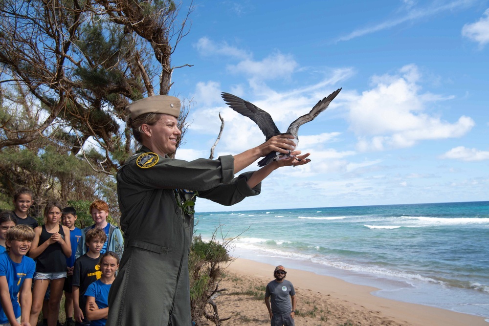 Save our Shearwaters Releases Indigenous Birds Back into the Wild.