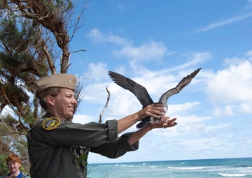 Save our Shearwaters Releases Indigenous Birds Back into the Wild.