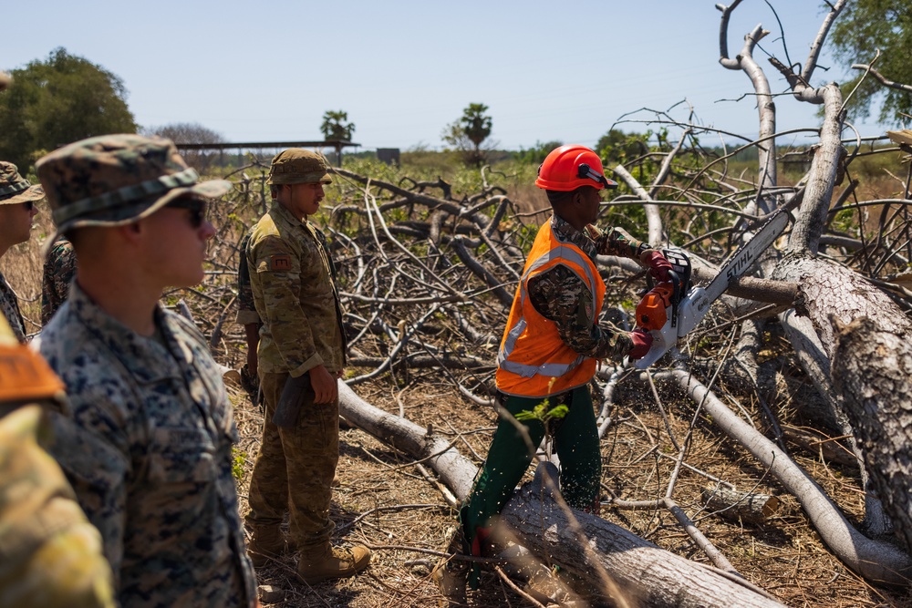 MRF-D engineers and Timor-Leste Defense Force Soldiers practice chainsaw cutting procedures