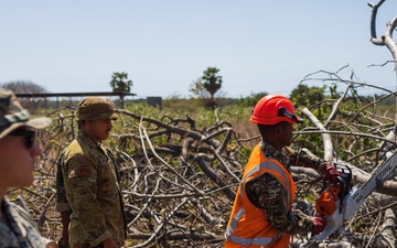 MRF-D engineers and Timor-Leste Defense Force Soldiers practice chainsaw cutting procedures