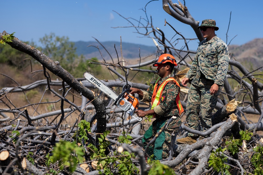 MRF-D engineers and Timor-Leste Defense Force Soldiers practice chainsaw tree cutting procedures