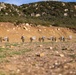 26th MEU(SOC)’s LCE conduct live-fire range in Spain