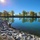 Buffalo Outer Harbor Wetland Ecosystem Phase I Construction
