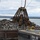 Buffalo Outer Harbor Wetland Ecosystem Phase I Construction