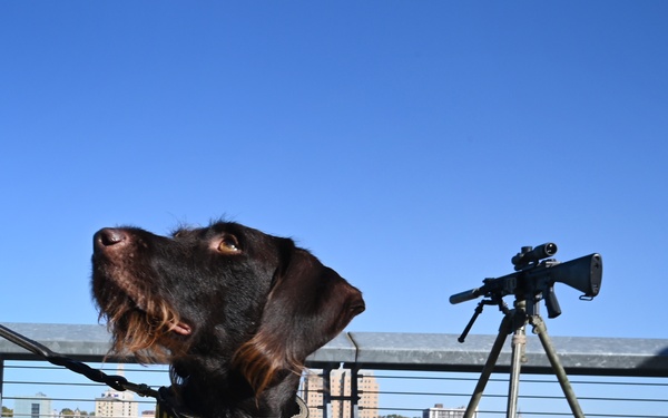 Coast Guard hosts ‘Mission Mighty Mississippi’ event