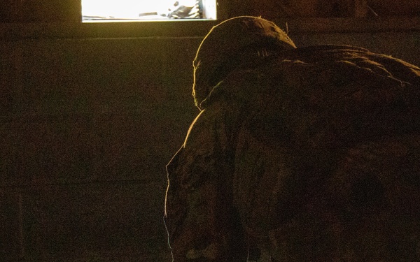 U.S. Army Participates in multinational EOD exercise Ardent Defender