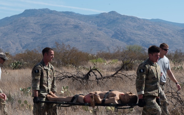 The CRO Screener Program