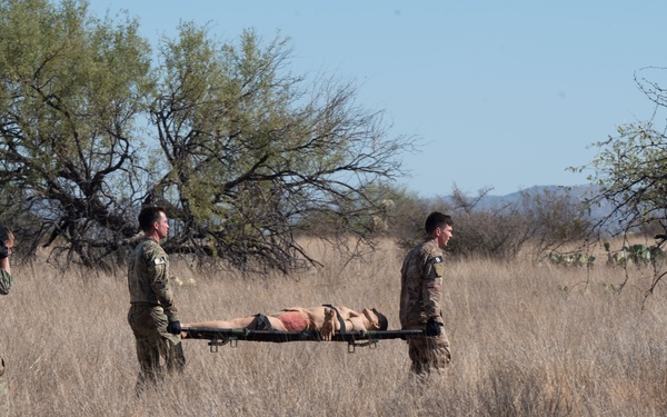 The CRO Screener Program