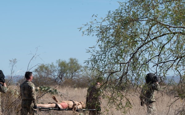 The CRO Screener Program