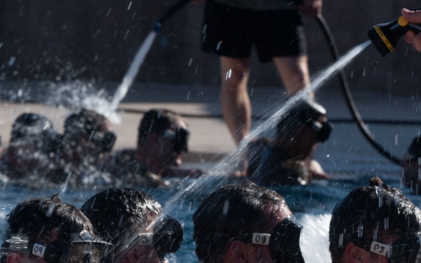 The CRO Screener Program