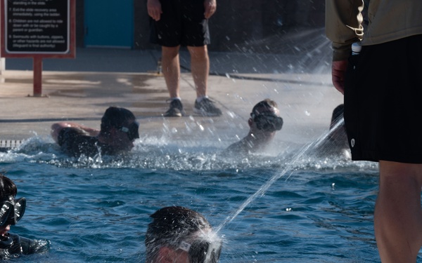 The CRO Screener Program