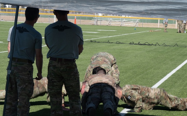 The CRO Screener Program