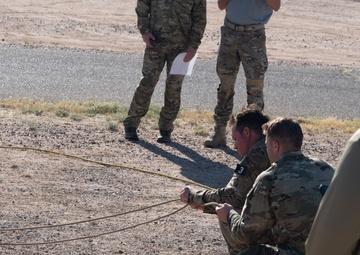 The CRO Screener Program