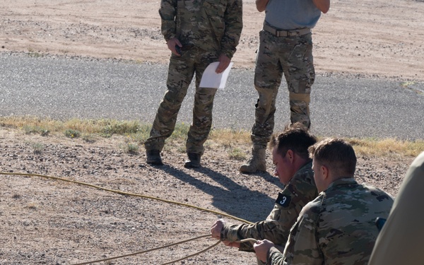 The CRO Screener Program