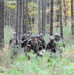 FORT DIX- ROTC 2ND BDE RANGER CHALLENGE