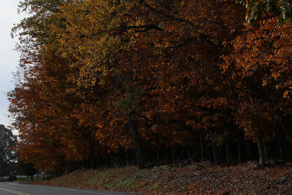 Fall foliage at Fort Indiantown Gap