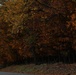 Fall foliage at Fort Indiantown Gap