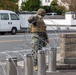 Active shield 2023; Marines set up concertina wire up around headquarters building