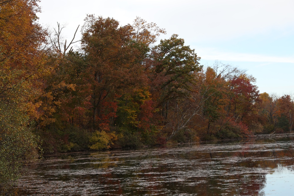 Fall foliage at Fort Indiantown Gap