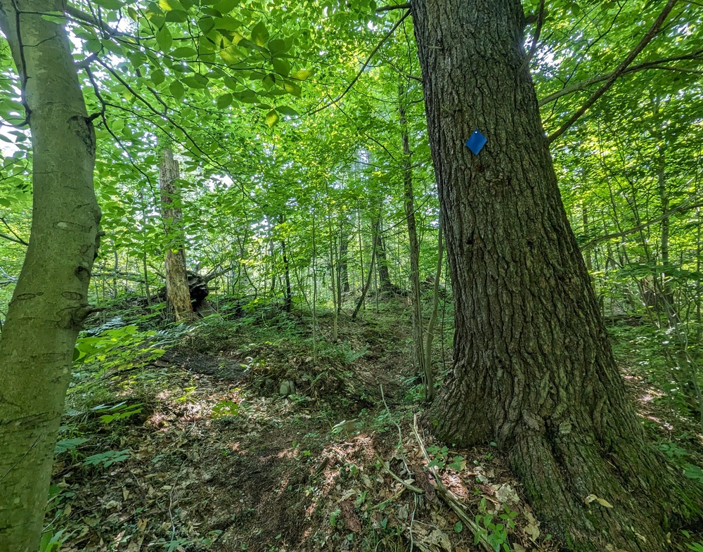 Take a guided hike with a Fort Drum forester