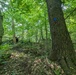 Take a guided hike with a Fort Drum forester