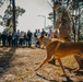 Savannah leaders get bird’s eye view of their military