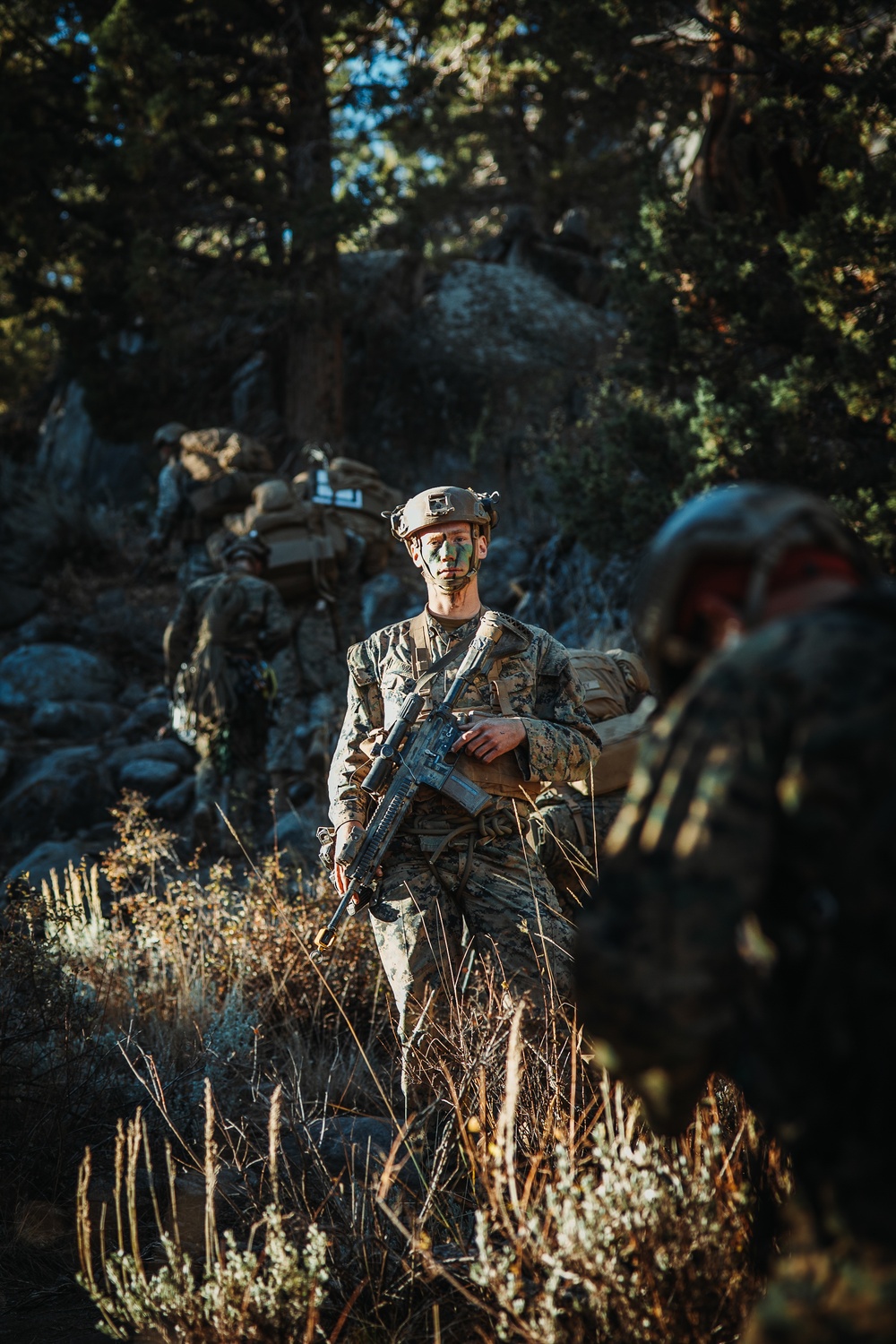 2/5 Marines, French 27th Mountain Infantry Brigade conduct simulated cliff assault during MTX 1-24