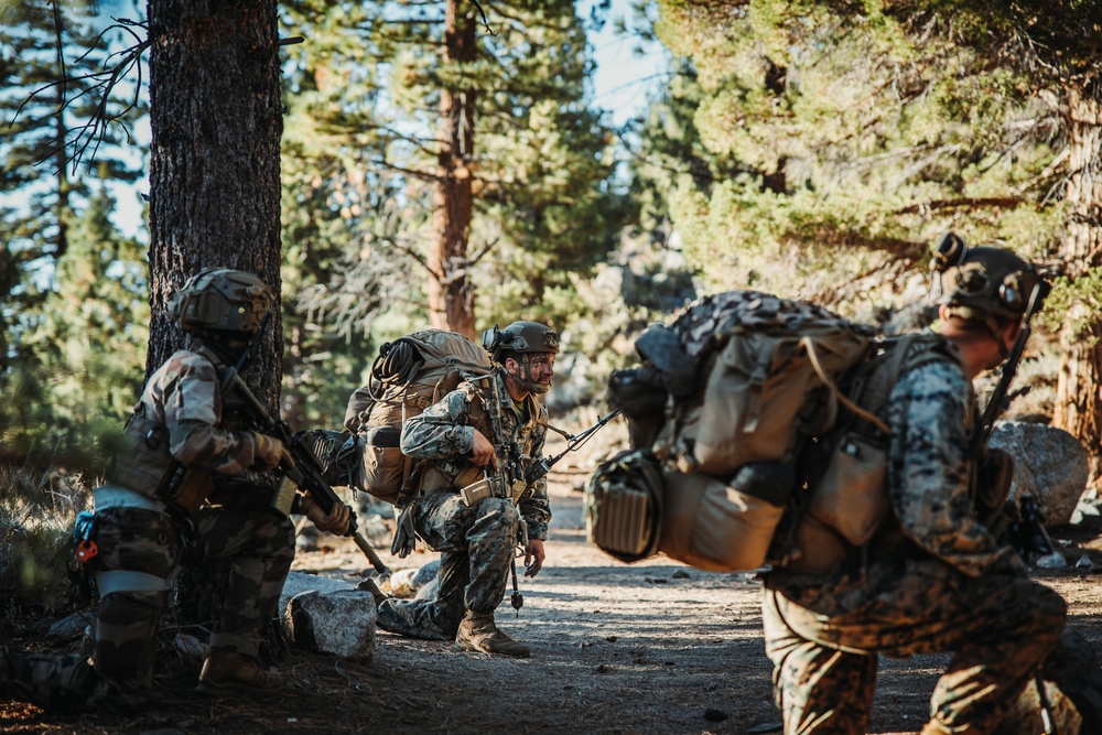 2/5 Marines, French 27th Mountain Infantry Brigade conduct simulated cliff assault during MTX 1-24