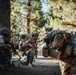 2/5 Marines, French 27th Mountain Infantry Brigade conduct simulated cliff assault during MTX 1-24