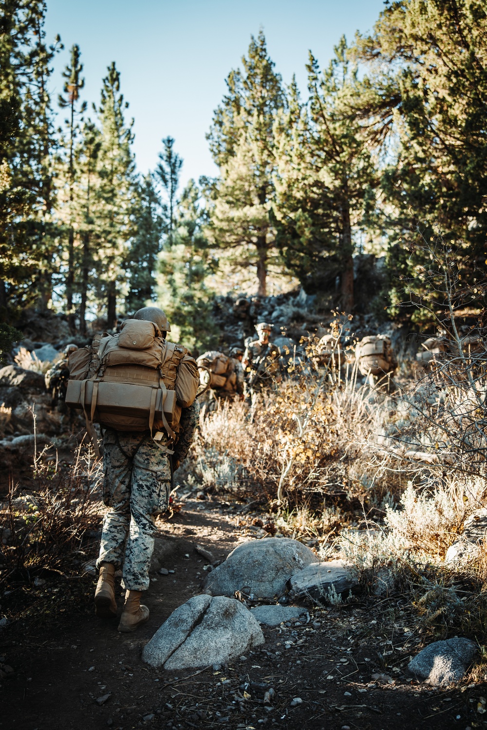 2/5 Marines, French 27th Mountain Infantry Brigade conduct simulated cliff assault during MTX 1-24